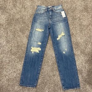 Willow and Root high waisted dad jean size 24 BRAND NEW